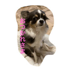 [LINEスタンプ] プリンセスチワワ2