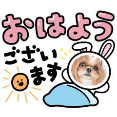 [LINEスタンプ] シーズー♡もにか①