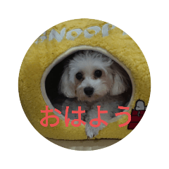 [LINEスタンプ] w 2021