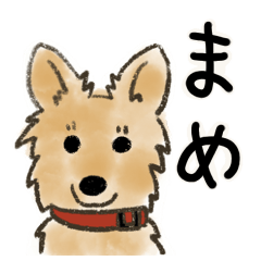 [LINEスタンプ] 雑種犬のまめ