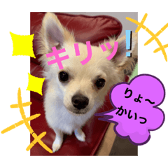 [LINEスタンプ] 暴れん坊レオ⓶