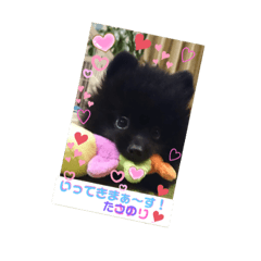 [LINEスタンプ] テンシンたつのり⑤