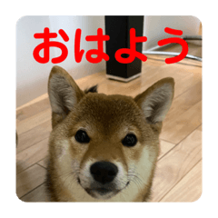 [LINEスタンプ] チョコスタンプ__1