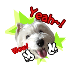 [LINEスタンプ] ウエスティ 蓮 のニコニコスタンプ 2