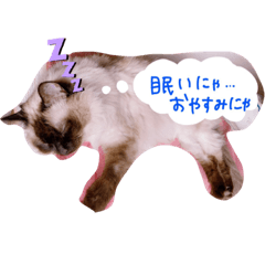 [LINEスタンプ] ゆき様のスタンプ