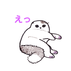 [LINEスタンプ] スコティッシュ猫ぷるにゃん2