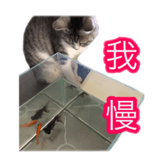 [LINEスタンプ] ぺぺさんの我慢所