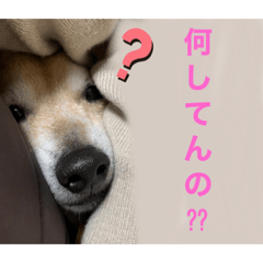 [LINEスタンプ] 平蔵2