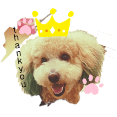 [LINEスタンプ] EMMA cute stamp