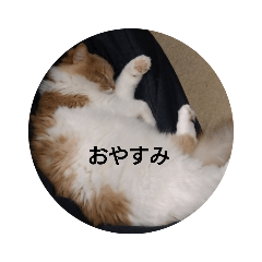 [LINEスタンプ] mo^o_o
