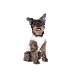 [LINEスタンプ] Schnauzer P