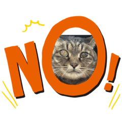 [LINEスタンプ] 瓜の日常スタンプ