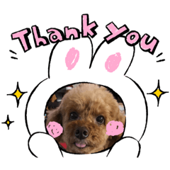 [LINEスタンプ] トイプー親子
