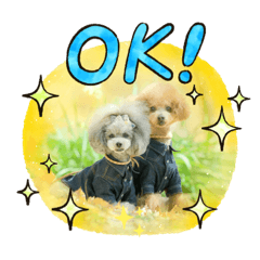 [LINEスタンプ] えいるいわんこ2