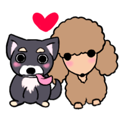 [LINEスタンプ] プードルぼっぼちゃんの画像（メイン）