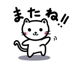 [LINEスタンプ] こねこのちぃ