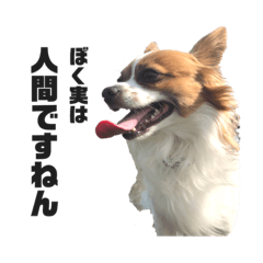 [LINEスタンプ] レオくんスタンぴ！！！