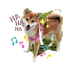[LINEスタンプ] 柴犬♀さくらの日常2