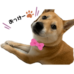[LINEスタンプ] きゃべちゃん