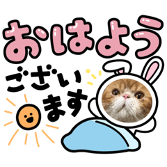 [LINEスタンプ] 猫たち集合！！