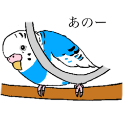 [LINEスタンプ] Y田さんちのインコたち