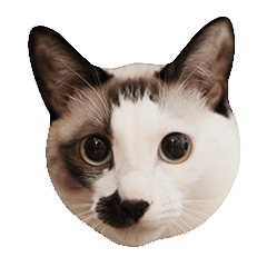[LINEスタンプ] ハギオのスタンプ