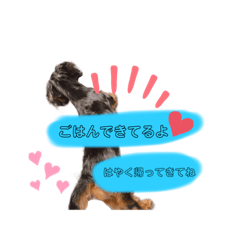 [LINEスタンプ] メルのゆるい日常スタンプ