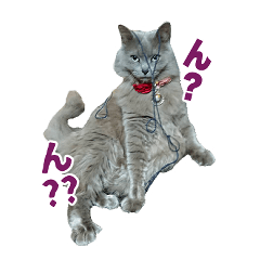 [LINEスタンプ] はちゅねこ
