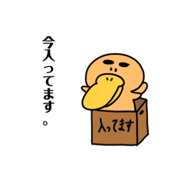 [LINEスタンプ] Kさん（かものはし）のスタンプ