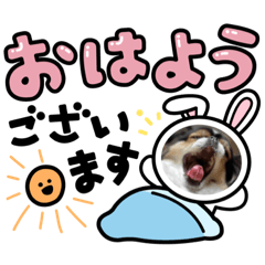[LINEスタンプ] 無敵わんちゃんSERA②