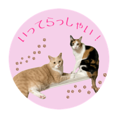 [LINEスタンプ] 猫の寅次郎とさくら