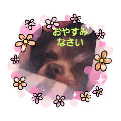 [LINEスタンプ] わたしの使うスタンプ