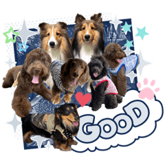 [LINEスタンプ] Doggy's vol.1