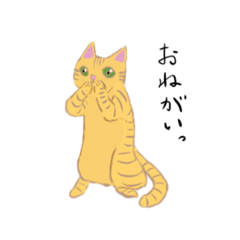 [LINEスタンプ] 友達に送りたいネコのスタンプ