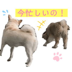 [LINEスタンプ] 雪姫とぽん太の日常スタンプ