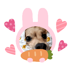 [LINEスタンプ] チワックスエイト