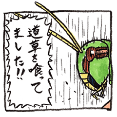 [LINEスタンプ] 1コマで何かを伝えたい虫 1