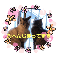 [LINEスタンプ] まろんちゃんとくるみちゃんと琥珀