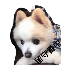 [LINEスタンプ] リト(日常生活)