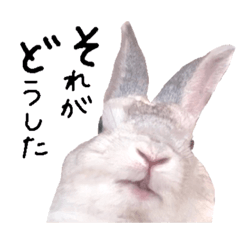 [LINEスタンプ] 上から目線のロイドくん