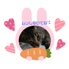 [LINEスタンプ] チョコ＆マメ 3