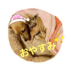[LINEスタンプ] バーディ＆ソラ