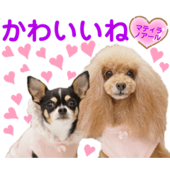 [LINEスタンプ] マティラとノアールのラブリーなスタンプ
