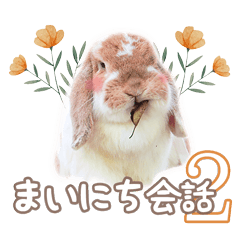 [LINEスタンプ] コムティティの毎日会話2