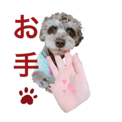 [LINEスタンプ] ぶぶスタンプ2♡ちわぷ