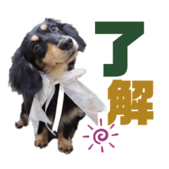 [LINEスタンプ] マカナとしんのすけ①