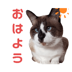 [LINEスタンプ] セブン様3