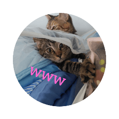 [LINEスタンプ] ありみしゃ2