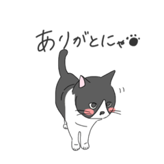 [LINEスタンプ] ハチワレねこのマチ