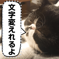 [LINEスタンプ] エキゾチックショートヘア ふくまる